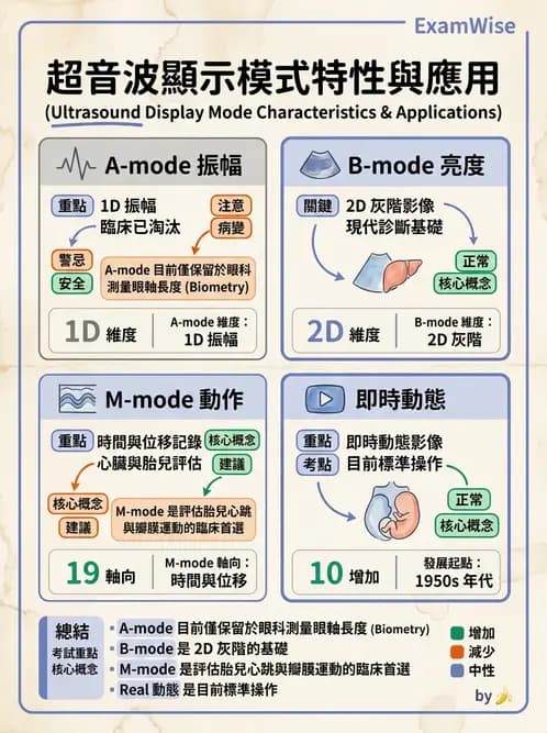 醫檢師 - 超音波檢查 - AI 圖文解析預覽