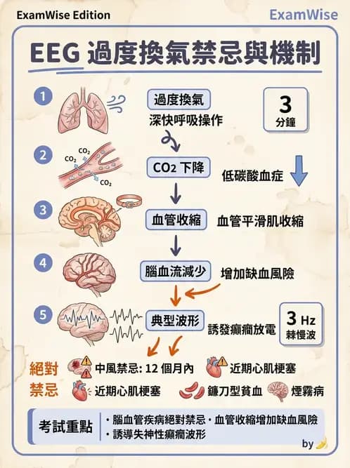 醫檢師 - 腦電圖檢查 - AI 圖文解析預覽
