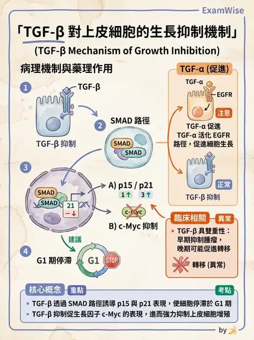 醫檢師 - 細胞傷害、發炎與修復 - AI 圖文解析預覽