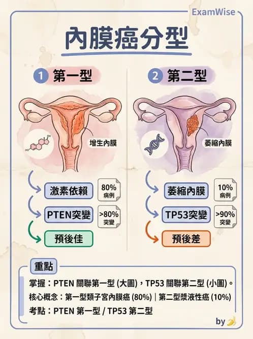 醫檢師 - 乳房及女性生殖疾病 - AI 圖文解析預覽