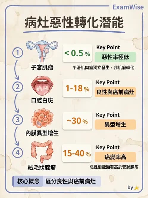 醫檢師 - 腫瘤概論 - AI 圖文解析預覽