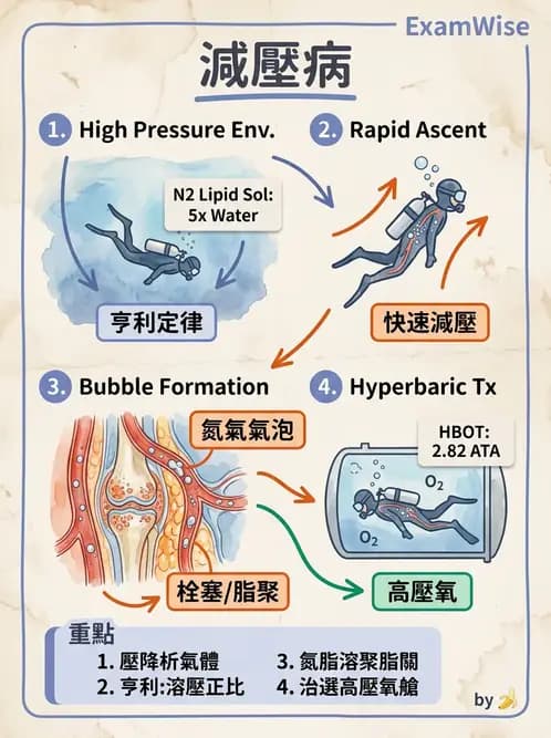 醫檢師 - 物理和化學傷害及營養疾病 - AI 圖文解析預覽