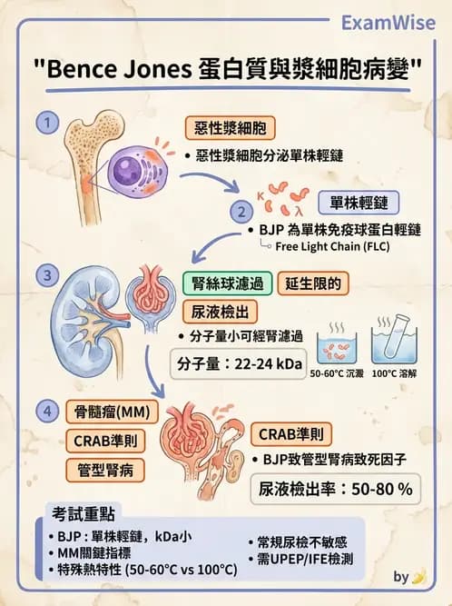 醫檢師 - 造血系統疾病 - AI 圖文解析預覽