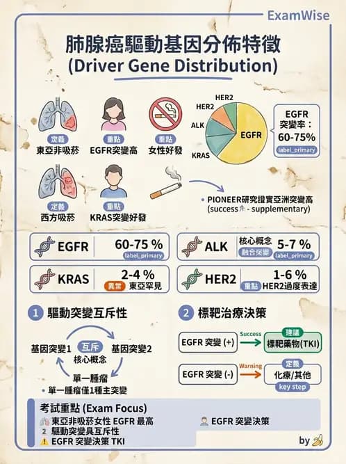 醫檢師 - 呼吸系統疾病 - AI 圖文解析預覽
