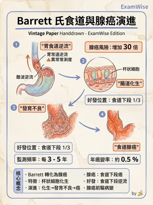 醫檢師 - 消化肝膽疾病 - AI 圖文解析預覽