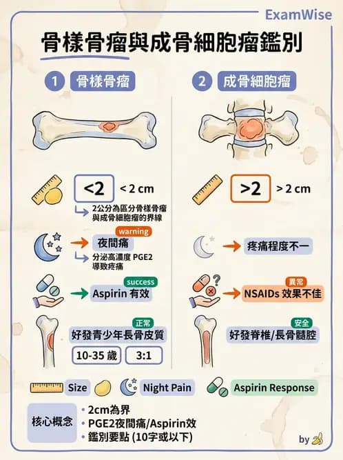 醫檢師 - 骨骼及軟組織疾病 - AI 圖文解析預覽
