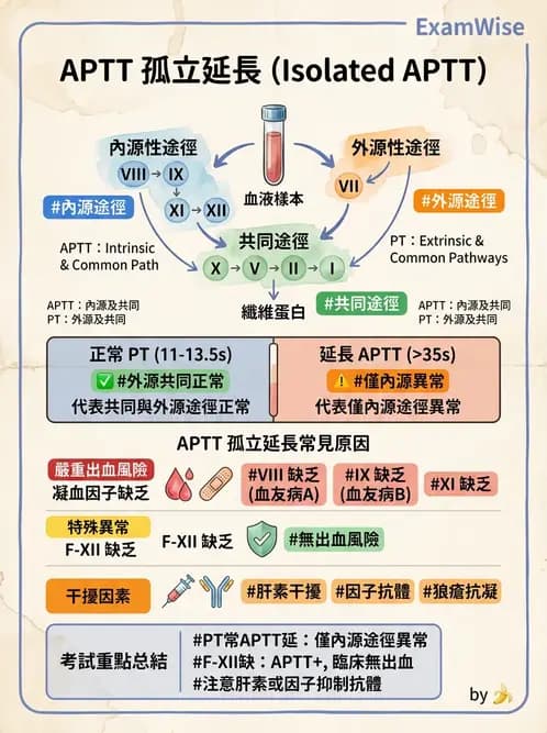 醫檢師 - 凝血因子與凝血檢驗 - AI 圖文解析預覽