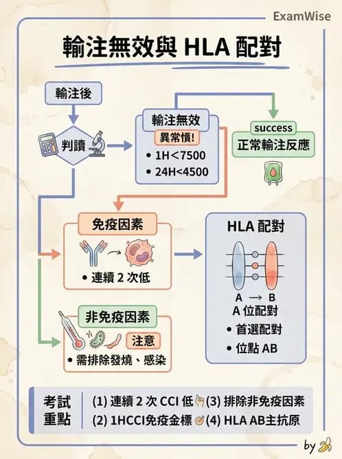 醫檢師 - 輸血反應與血庫品管 - AI 圖文解析預覽