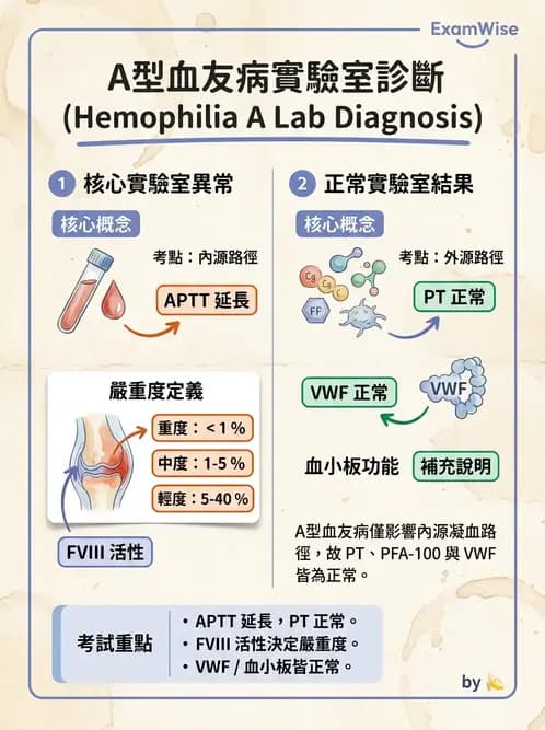 醫檢師 - 出血性疾病與檢驗 - AI 圖文解析預覽