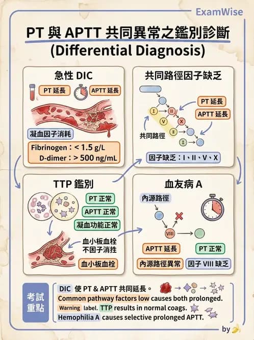 醫檢師 - 出血性疾病與檢驗 - AI 圖文解析預覽