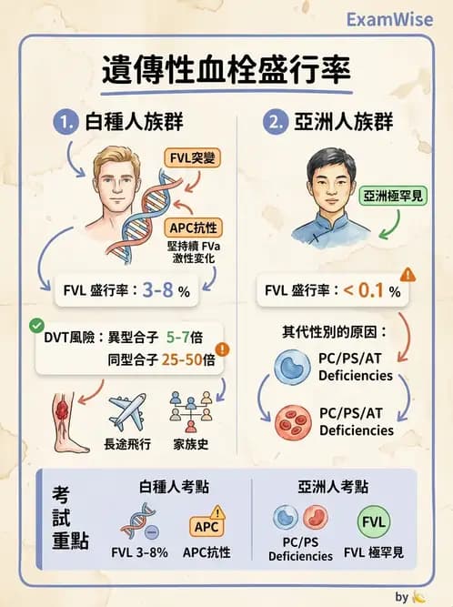 醫檢師 - 血栓性疾病與抗凝治療監測 - AI 圖文解析預覽