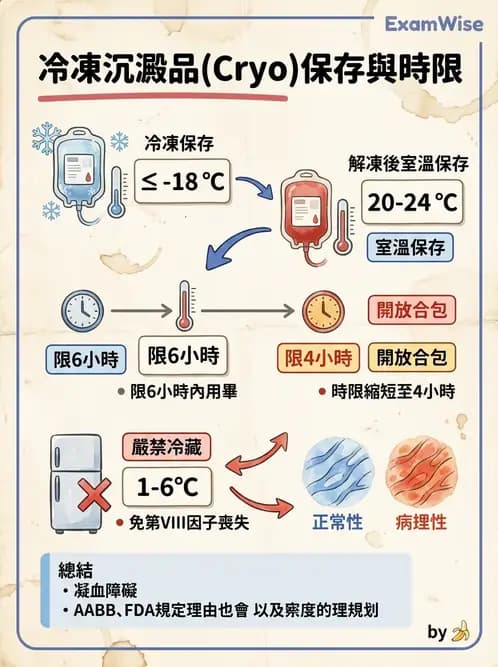 醫檢師 - 血液成分製備與輸血檢查 - AI 圖文解析預覽
