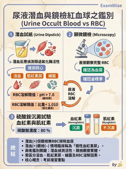 醫檢師 - 尿液化學檢驗 - AI 圖文解析預覽