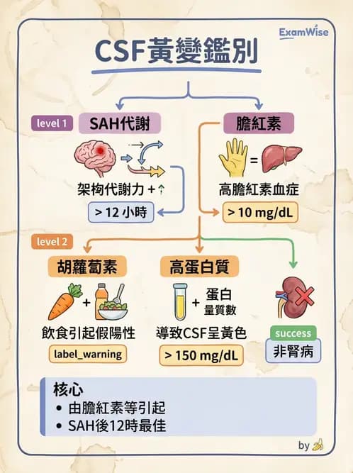 醫檢師 - 腦脊髓液檢查 - AI 圖文解析預覽
