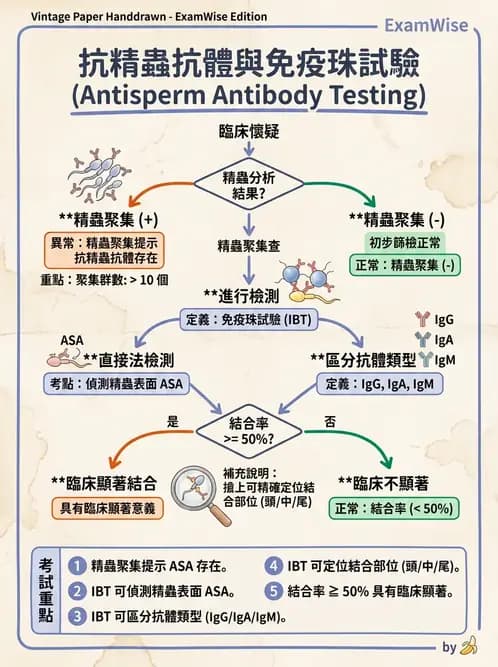 醫檢師 - 精液檢查 - AI 圖文解析預覽
