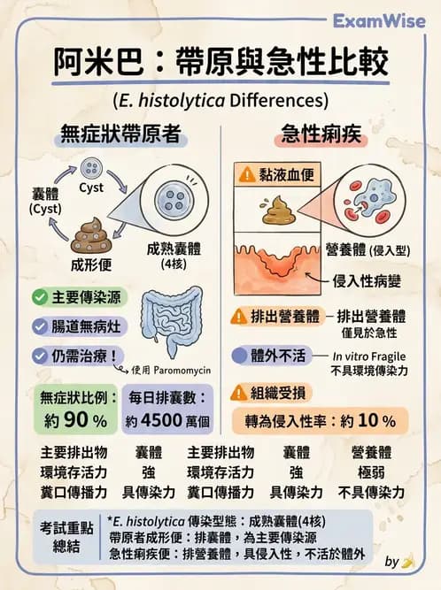 醫檢師 - 寄生蟲檢查-原蟲類 - AI 圖文解析預覽