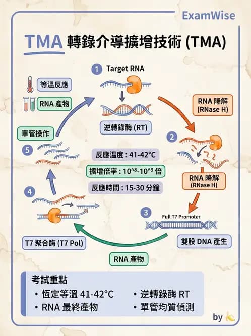 醫檢師 - 核酸擴增與萃取技術 - AI 圖文解析預覽