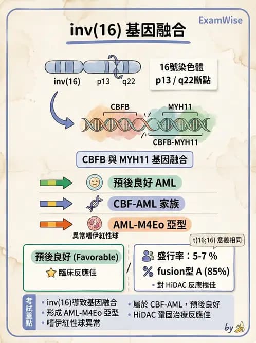 醫檢師 - 腫瘤疾病基因檢測 - AI 圖文解析預覽