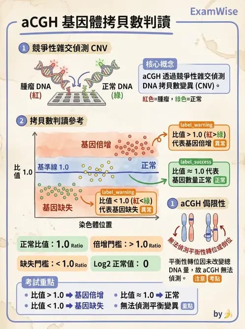 醫檢師 - 腫瘤疾病基因檢測 - AI 圖文解析預覽