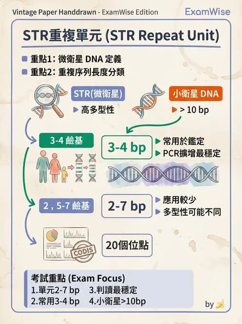 醫檢師 - 分子鑑定與應用技術 - AI 圖文解析預覽