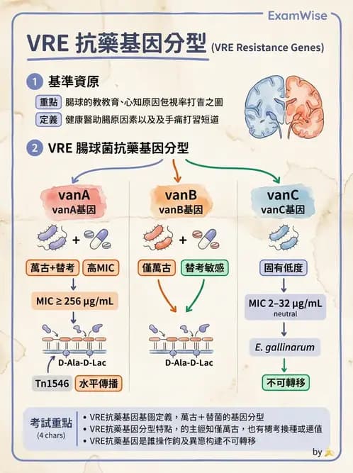 醫檢師 - 感染症分子檢驗 - AI 圖文解析預覽