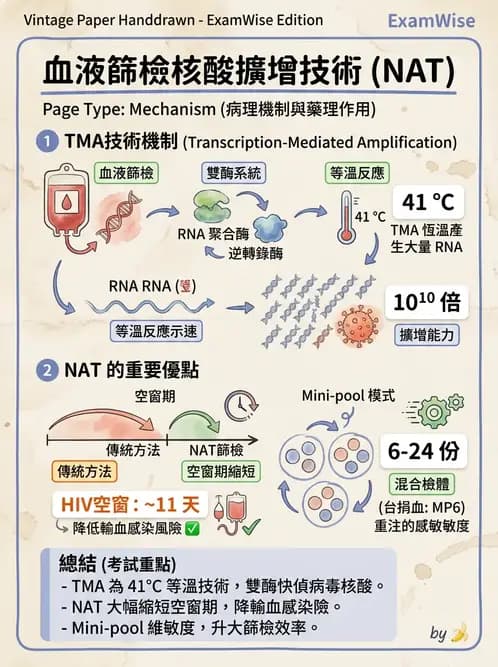 醫檢師 - 感染症分子檢驗 - AI 圖文解析預覽