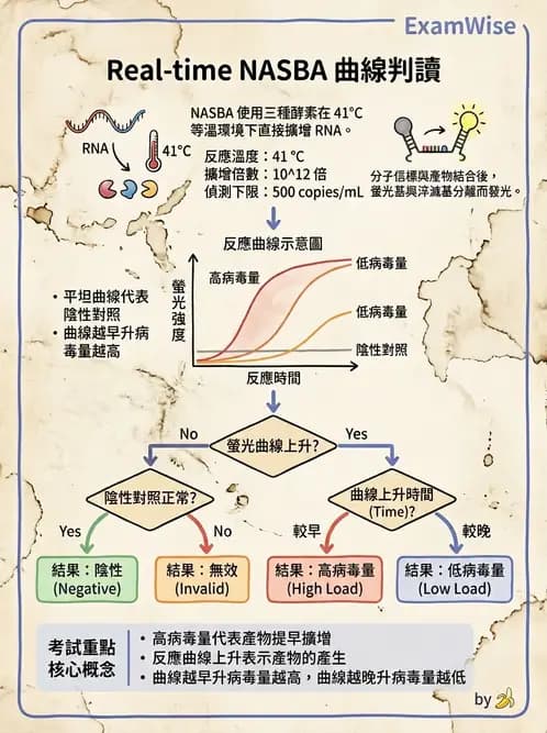 醫檢師 - 核酸擴增與萃取技術 - AI 圖文解析預覽