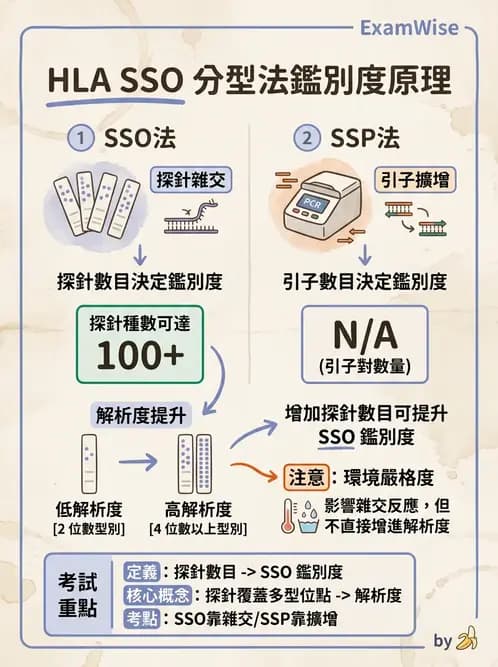 醫檢師 - 分子鑑定與應用技術 - AI 圖文解析預覽