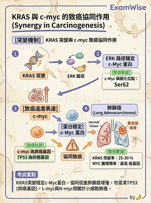 醫檢師 - 腫瘤疾病基因檢測 - AI 圖文解析預覽