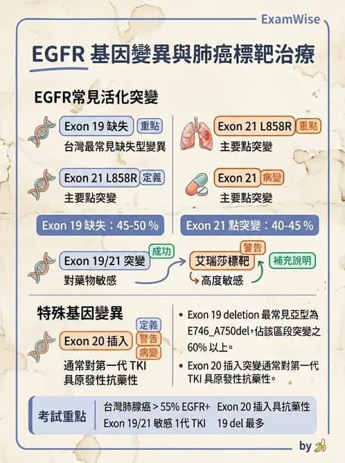 醫檢師 - 腫瘤疾病基因檢測 - AI 圖文解析預覽
