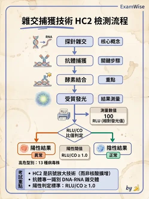 醫檢師 - 雜交探針與晶片技術 - AI 圖文解析預覽