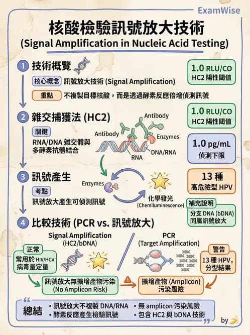 醫檢師 - 雜交探針與晶片技術 - AI 圖文解析預覽