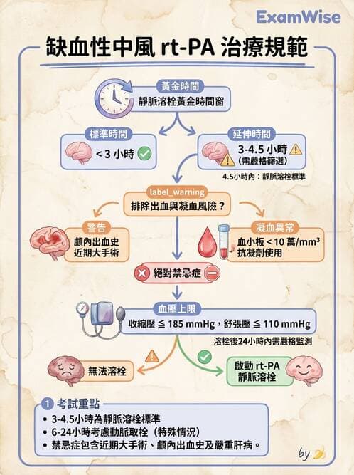 護理師 - 腦中風與腦血管疾病 - AI 圖文解析預覽