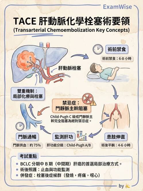 護理師 - 消化系統癌症護理 - AI 圖文解析預覽
