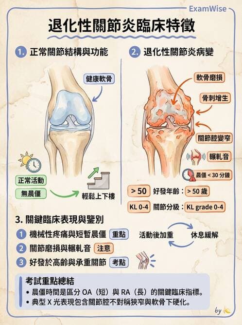 護理師 - 關節疾病與骨科手術 - AI 圖文解析預覽