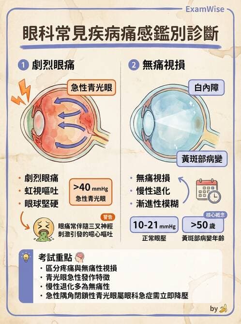 護理師 - 眼科疾病 - AI 圖文解析預覽