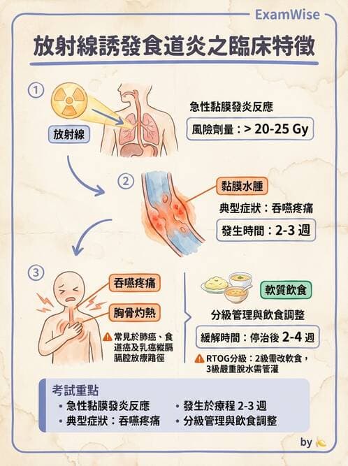護理師 - 放療、疼痛管理與安寧護理 - AI 圖文解析預覽