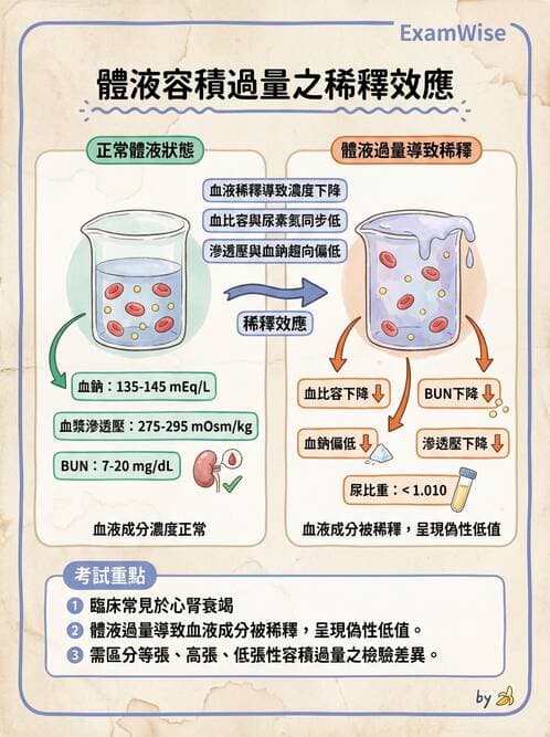 護理師 - 透析、電解質與酸鹼平衡 - AI 圖文解析預覽