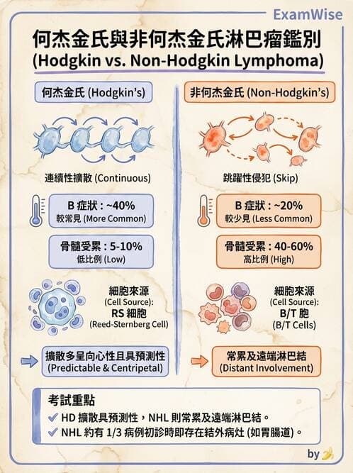 護理師 - 血液腫瘤疾病 - AI 圖文解析預覽