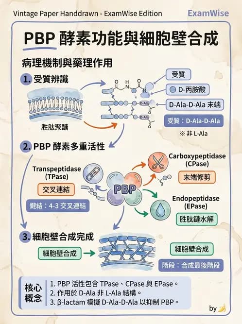 醫檢師 - 實驗室安全與微生物特性 - AI 圖文解析預覽