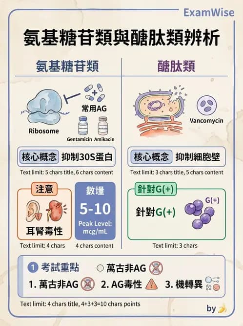 醫檢師 - 抗微生物製劑 - AI 圖文解析預覽