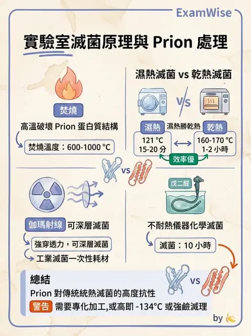 醫檢師 - 實驗室安全與微生物特性 - AI 圖文解析預覽