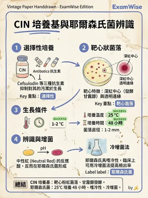 醫檢師 - 其他腸內菌科 - AI 圖文解析預覽