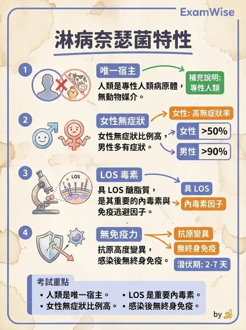 醫檢師 - 奈瑟菌與挑剔性革蘭氏陰性菌 - AI 圖文解析預覽