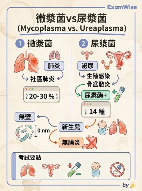 醫檢師 - 特殊病原體 - AI 圖文解析預覽