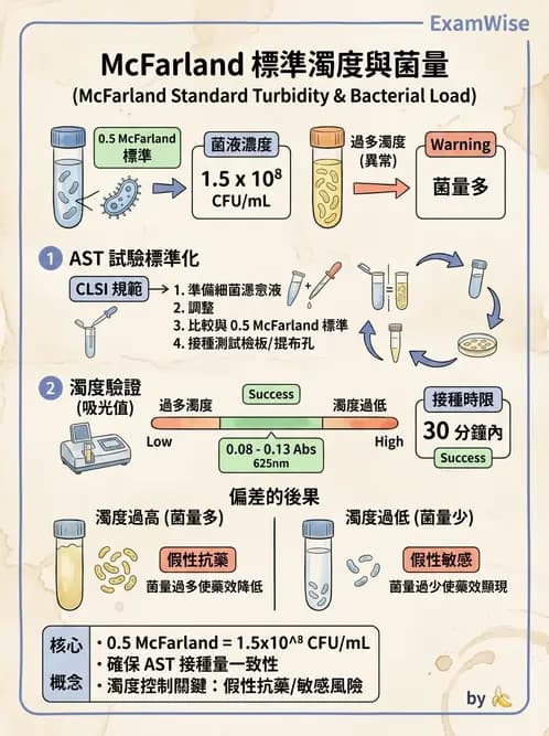 醫檢師 - 藥敏試驗方法 - AI 圖文解析預覽