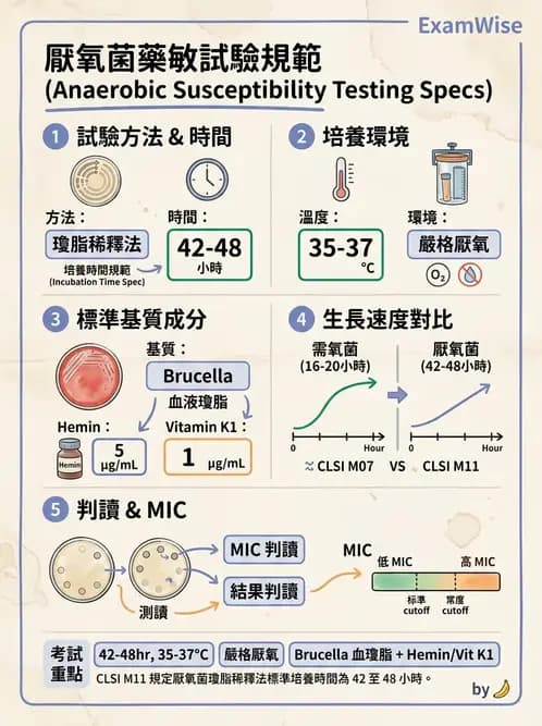 醫檢師 - 藥敏試驗方法 - AI 圖文解析預覽