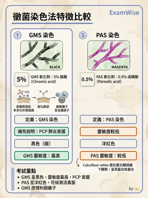 醫檢師 - 真菌診斷與治療 - AI 圖文解析預覽