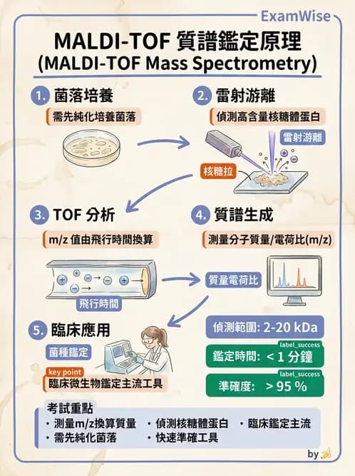 醫檢師 - 檢驗基礎技術 - AI 圖文解析預覽