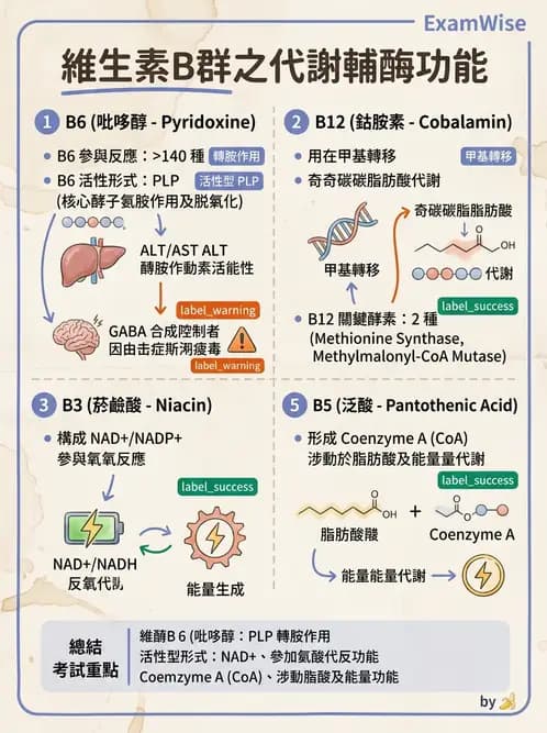 醫檢師 - 維生素 - AI 圖文解析預覽
